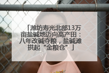 潍坊寿光北部13万亩盐碱地迈向高产田：八年改碱夺粮，盐碱滩拱起“金粮仓”