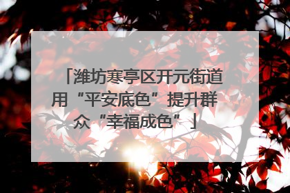潍坊寒亭区开元街道用“平安底色”提升群众“幸福成色”