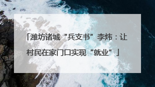 潍坊诸城“兵支书”李炜：让村民在家门口实现“就业”