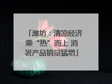 潍坊：清凉经济乘“热”而上 消暑产品销量猛增