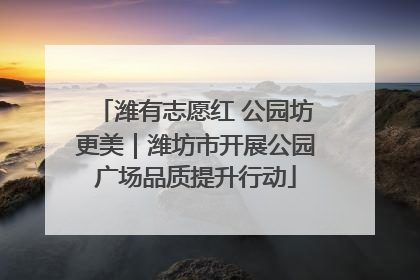 潍有志愿红 公园坊更美｜潍坊市开展公园广场品质提升行动