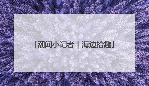 潮闻小记者｜海边拾趣