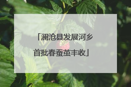 澜沧县发展河乡首批春蚕茧丰收