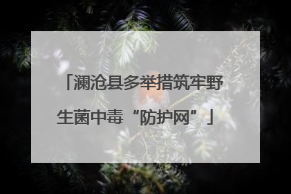 澜沧县多举措筑牢野生菌中毒“防护网”