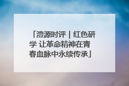 澧源时评｜红色研学 让革命精神在青春血脉中永续传承