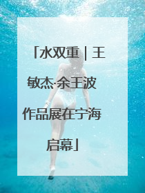 水双重｜王敏杰·余王波作品展在宁海启幕