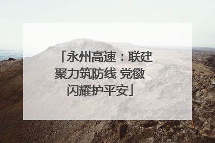 永州高速：联建聚力筑防线 党徽闪耀护平安