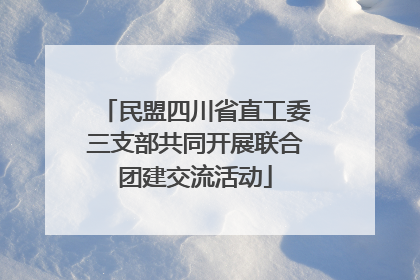 民盟四川省直工委三支部共同开展联合团建交流活动