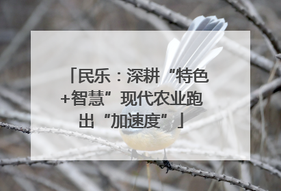 民乐：深耕“特色+智慧”现代农业跑出“加速度”