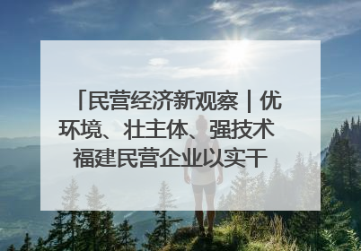 民营经济新观察｜优环境、壮主体、强技术 福建民营企业以实干担当聚势谋进