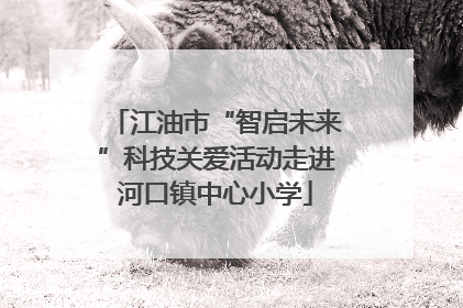 江油市“智启未来”科技关爱活动走进河口镇中心小学