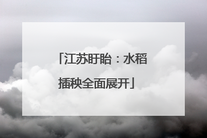 江苏盱眙：水稻插秧全面展开