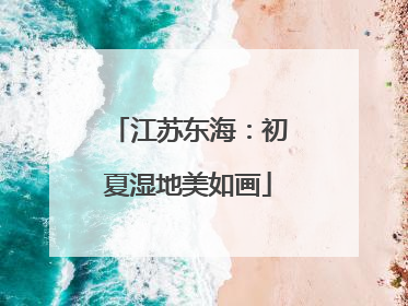 江苏东海：初夏湿地美如画