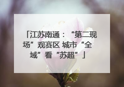 江苏南通：“第二现场”观赛区 城市“全域”看“苏超”