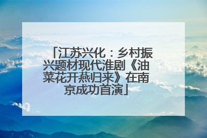江苏兴化：乡村振兴题材现代淮剧《油菜花开燕归来》在南京成功首演