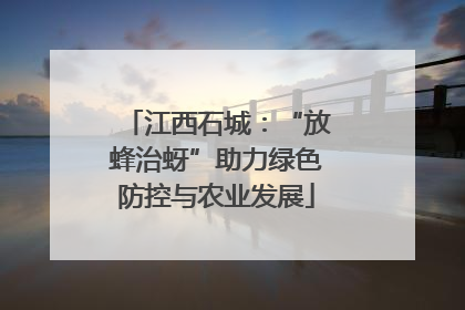 江西石城：“放蜂治蚜”助力绿色防控与农业发展