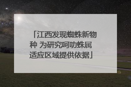 江西发现蜘蛛新物种 为研究呵叻蛛属适应区域提供依据