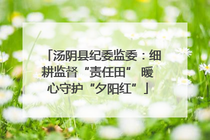 汤阴县纪委监委：细耕监督“责任田” 暖心守护“夕阳红”