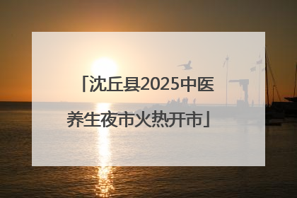 沈丘县2025中医养生夜市火热开市
