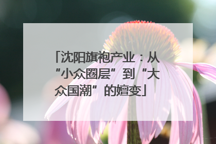 沈阳旗袍产业：从“小众圈层”到“大众国潮”的嬗变