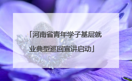 河南省青年学子基层就业典型巡回宣讲启动