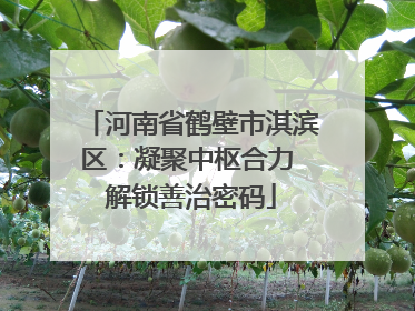 河南省鹤壁市淇滨区：凝聚中枢合力 解锁善治密码