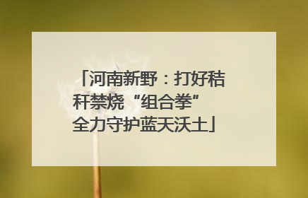 河南新野：打好秸秆禁烧“组合拳” 全力守护蓝天沃土