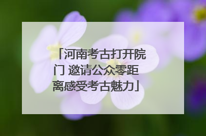河南考古打开院门 邀请公众零距离感受考古魅力
