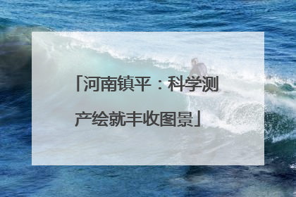河南镇平：科学测产绘就丰收图景