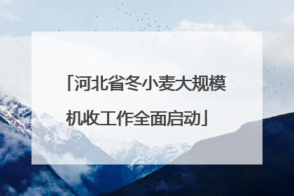河北省冬小麦大规模机收工作全面启动