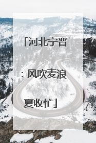 河北宁晋：风吹麦浪夏收忙