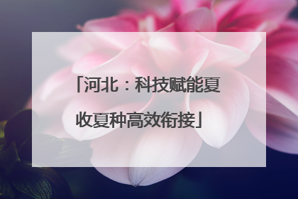 河北：科技赋能夏收夏种高效衔接