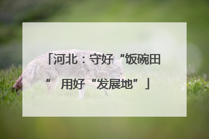 河北：守好“饭碗田” 用好“发展地”