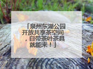 泉州东湖公园开放共享茶空间，自带茶叶茶具就能来！