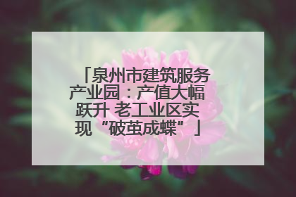 泉州市建筑服务产业园：产值大幅跃升 老工业区实现“破茧成蝶”