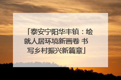 泰安宁阳华丰镇：绘就人居环境新画卷 书写乡村振兴新篇章