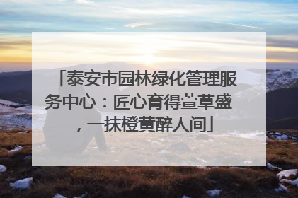 泰安市园林绿化管理服务中心：匠心育得萱草盛，一抹橙黄醉人间