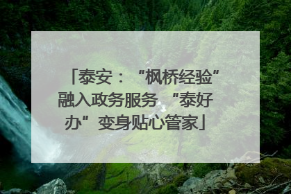 泰安：“枫桥经验”融入政务服务 “泰好办”变身贴心管家