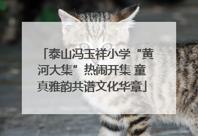 泰山冯玉祥小学“黄河大集”热闹开集 童真雅韵共谱文化华章
