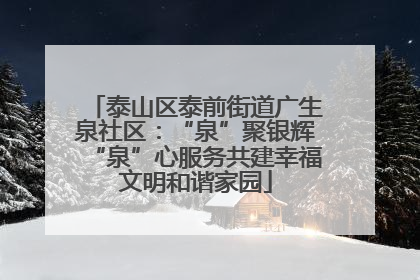 泰山区泰前街道广生泉社区：“泉”聚银辉“泉”心服务共建幸福文明和谐家园