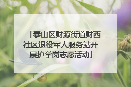 泰山区财源街道财西社区退役军人服务站开展护学岗志愿活动
