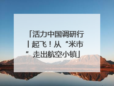 活力中国调研行丨起飞！从“米市”走出航空小镇