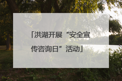洪湖开展“安全宣传咨询日”活动