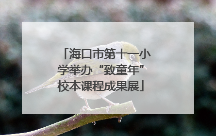 海口市第十一小学举办“致童年”校本课程成果展
