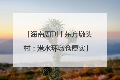 海南周刊丨东方墩头村：港水环墩仓廪实