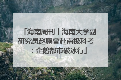 海南周刊丨海南大学副研究员赵鹏曾赴南极科考：企鹅都市破冰行
