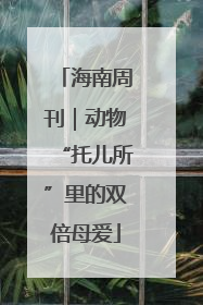 海南周刊｜动物“托儿所”里的双倍母爱