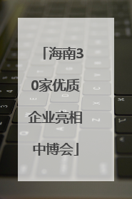 海南30家优质企业亮相中博会
