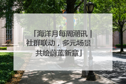 海洋月每周潮讯｜社群联动，多元场景共绘蔚蓝新章