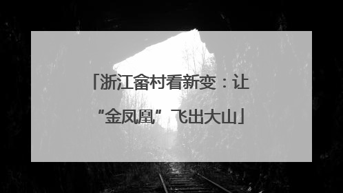 浙江畲村看新变：让“金凤凰”飞出大山